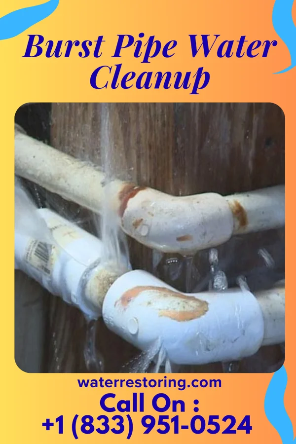 Burst Pipe Water Cleanup in Braddock, VA