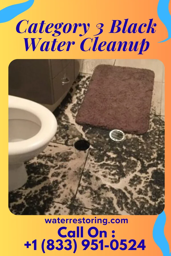 Category 3 Black Water Cleanup in Braddock, VA