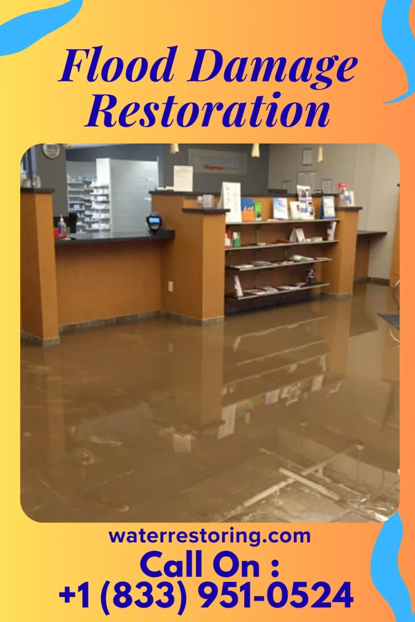 Flood Damage Restoration in Braddock, VA