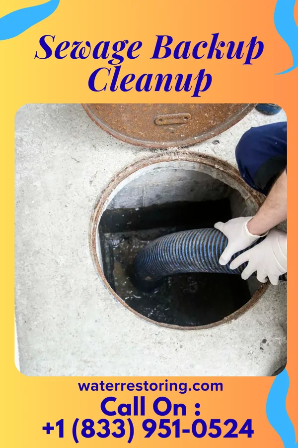 Sewage Backup Cleanup in Braddock, VA