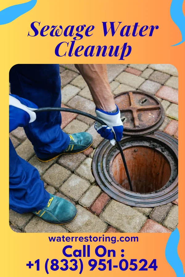 Sewage Water Cleanup in Braddock, VA