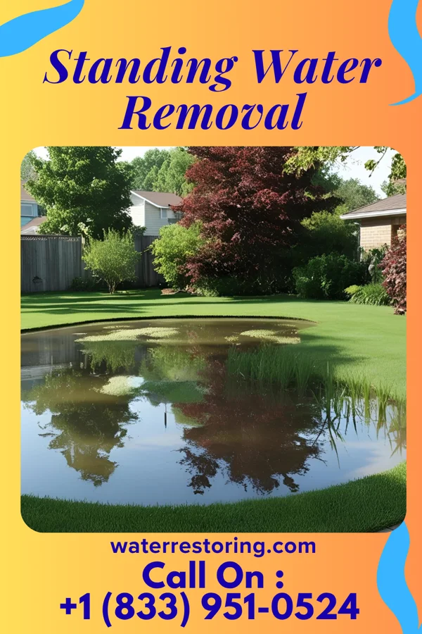 Standing Water Removal in Braddock, VA